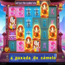 a puxada do camelo no jogo do bicho